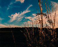 卡密自动发货的在线ddos网页端