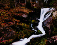 智能提示贴心的ddos网页端源码