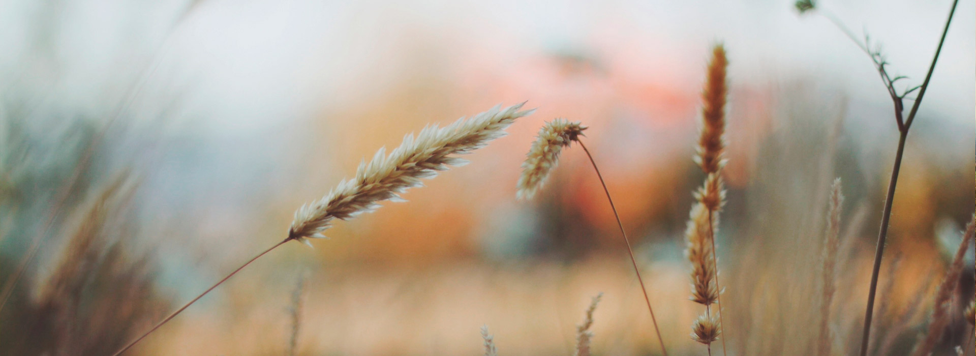 手机版ddos攻击器